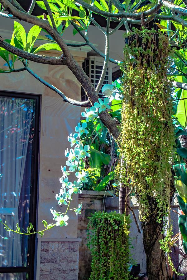 Villa Impian Canggu Kültér fotó