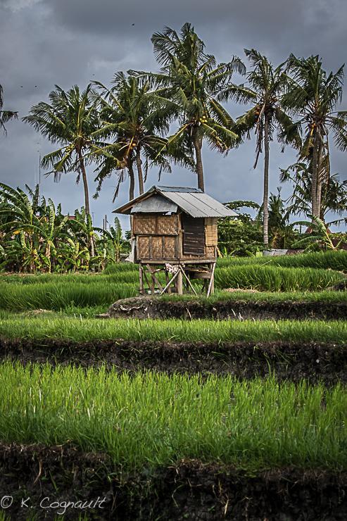 Villa Impian Canggu Kültér fotó